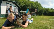Campingplatz 2509397 in Oostappen Heelderpeel