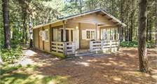 Blockhütte Forest lodge in RCN De Flaasbloem