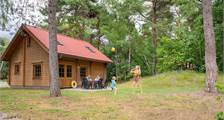 Ferienhaus Sparrendaal in RCN Het Grote Bos